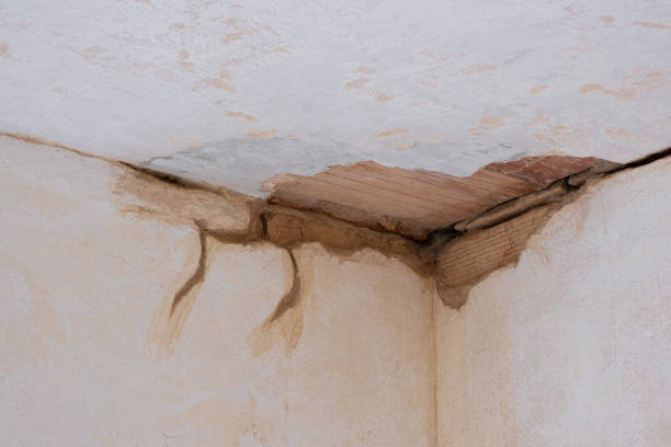 Best Water damage contractors near me  in Carlinvle, IL