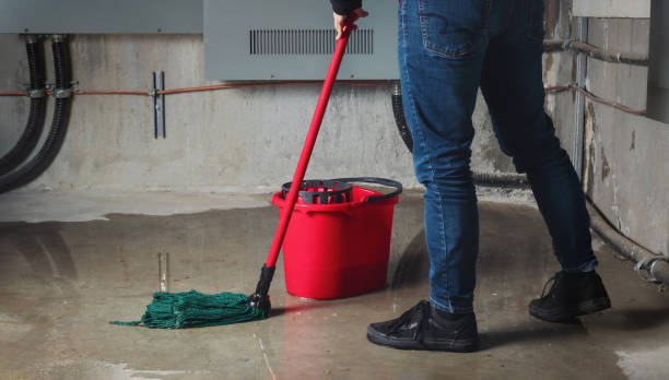  Carlinvle, IL Water damage restoration Pros