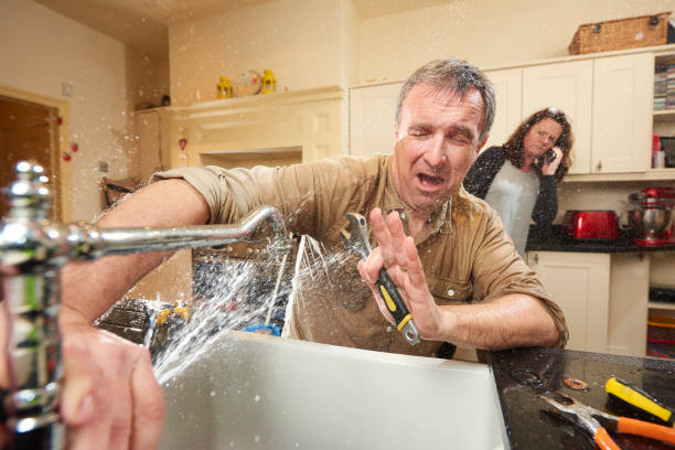 Best Carpet water damage restoration  in Carlinvle, IL